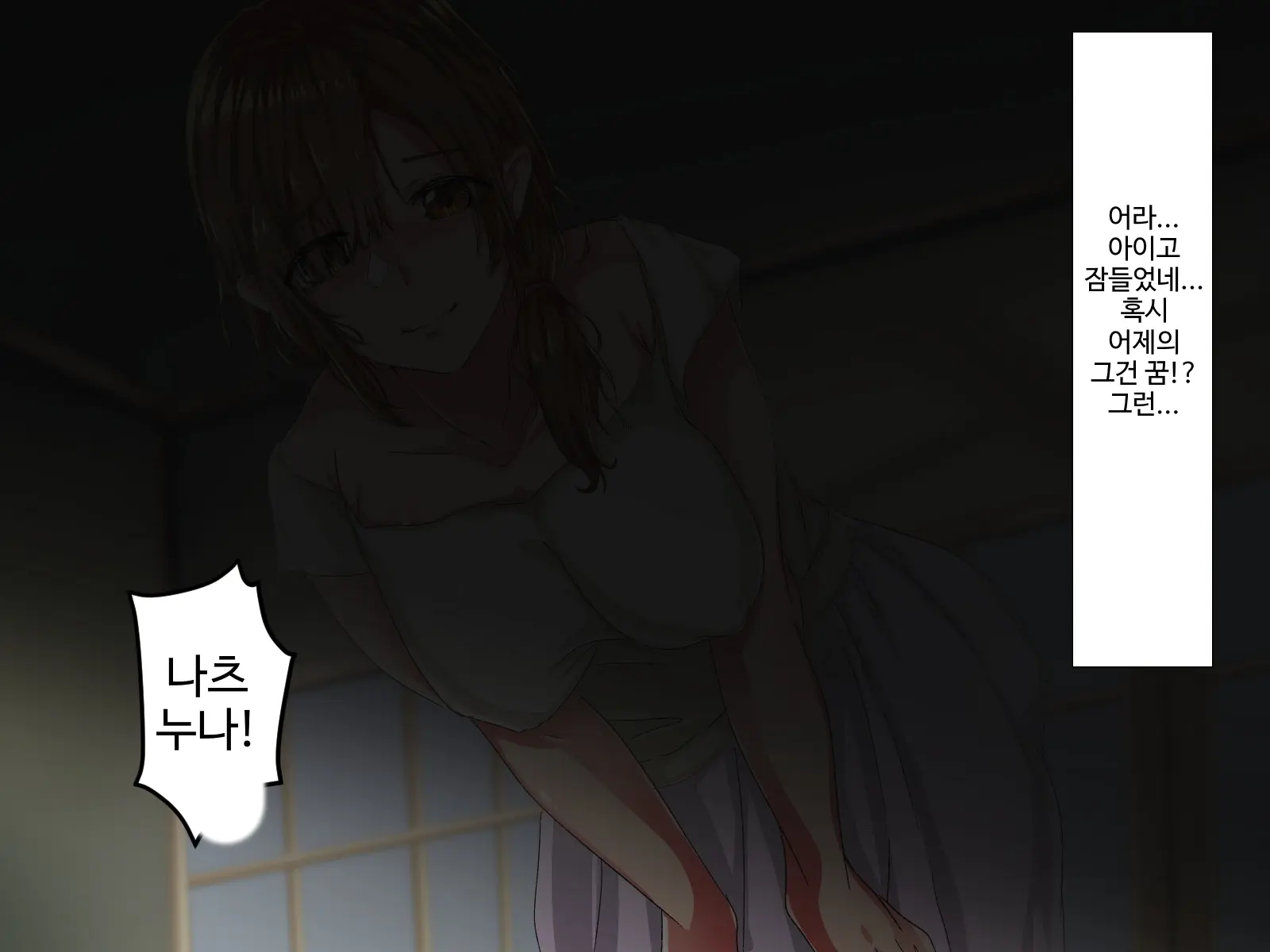 Erokute Chorokute Nandemo Shite Kureru Onee-San-Tachi Wa, Suki Desu Ka? | 야하고 알기쉬운 뭐든지 해주는 누나들은 좋아하나요?